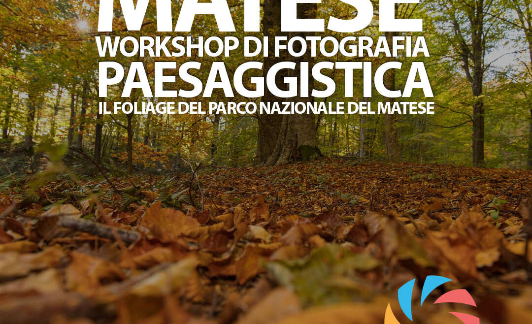 WORKSHOP DI FOTOGRAFIA PAESAGGISTICA MATESE 24 E 25 OTTOBRE 2026